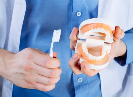 Dentist showing jaw model, giving lesson on proper teeth and oral cavity care. Dentist using jaw...
