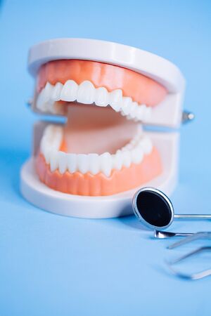 Close up macro shoot of teeth model with dental tools  on blue background. Oral cavity care concept