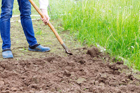 Worker digs the soil with shovel in vegetable garden. Male farmer in rubber boots diggingの写真素材