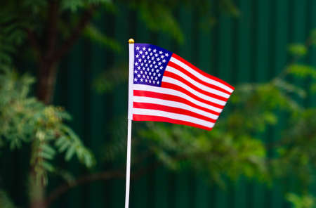 American Flag waving in the green grass background. A patriotic national flag with waves