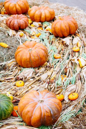 Pile of pumpkins sold at a market for halloween. Autumn decorations, pumpkins in various shapes and...