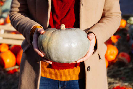 Young woman in sweater and coat is holding halloween pumpkin on nature harvest background. Fall autumn concept. Autumn season. Fall color, orange, red and yellow.の写真素材