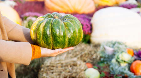 Young woman in sweater and coat is holding halloween pumpkin on nature harvest background. Fall...