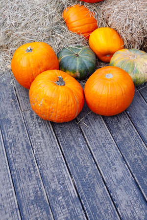 Pile of pumpkins sold at a market for halloween. Autumn decorations, pumpkins in various shapes and sizes. Top viewの写真素材