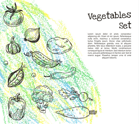 Hand drawn vegetables sketch backgroundのイラスト素材