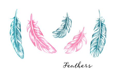 Hand drawn blue and pink watercolor feathers set for your designのイラスト素材