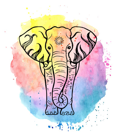 Hand drawn elephant on a colorfull watercolor backgroundのイラスト素材