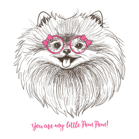 Vector sketch illustration of a cute little Pomeranian with bow and round glasses. Fashionable dog print design. Smiley face of Pom puppyのイラスト素材