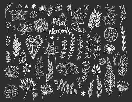 Set of different vector floral design elements - flowers, leafs, brunches, herbs, hearts.のイラスト素材
