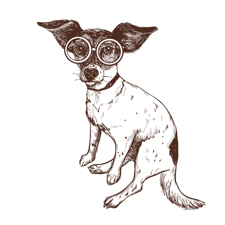 Vector illustration of a hand drawn jack russell terrier dog in glassesのイラスト素材