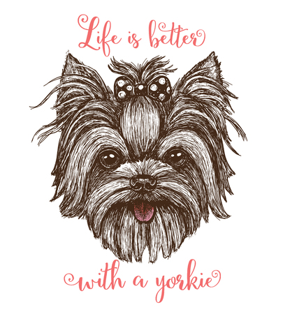 Vector illustration of a hand drawn funny fashionable Yorkshire terrier dog - stock vectorのイラスト素材