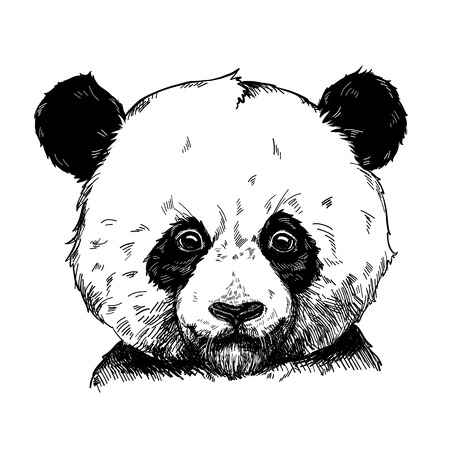 Vector illustration of a cute panda. Hand drawn graphic, kid print.のイラスト素材