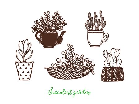 Set of different hand drawn cactus and succulents in flower pots.Vector illustration.のイラスト素材