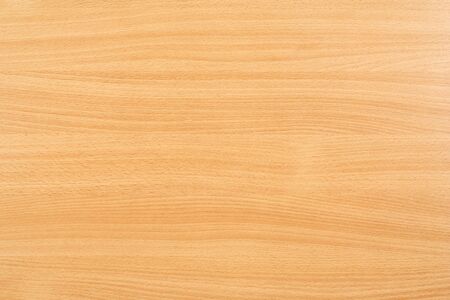 Beechen wooden structureの写真素材