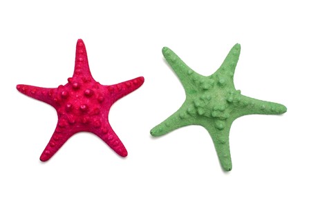 The dried and painted starfishes on a white backgroundの写真素材