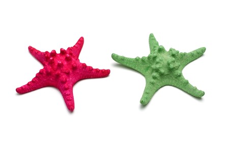 The dried and painted starfishes on a white backgroundの写真素材