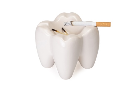 Ashtray in the form of a tooth with a stub on a white backgroundの写真素材
