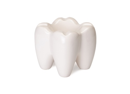 The ashtray in the form of a tooth is isolated on a white backgroundの写真素材