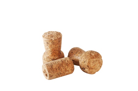 Bottle bungsの写真素材