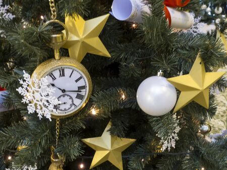 Christmas tree の写真素材