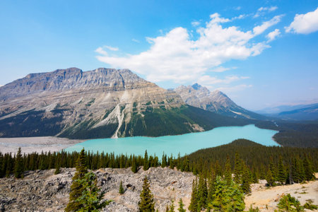 Peyto Lake, Banff National Park, Canadaの写真素材