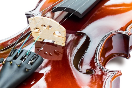 Close up of violin on white background with shadow, focusing on bridge and f-holeの写真素材