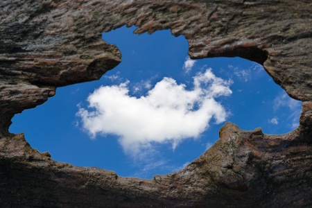 Opening hole on wooden wall leads to outside blue skyの写真素材