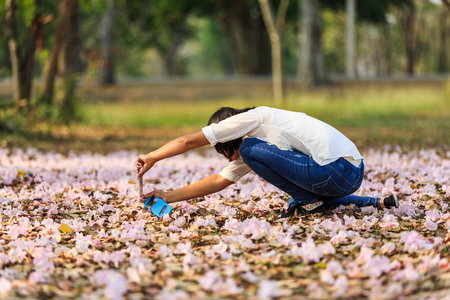 NAKHON PATHOM, THAILAND - 24 FEBRUARY 2016 - Unidentified woman uses her mobile phone to take picture of her kid and fallen Pink Trumpet flowers on the ground at Kamphaeng Saen, Nakhon Pathom province, Thailand.のeditorial素材