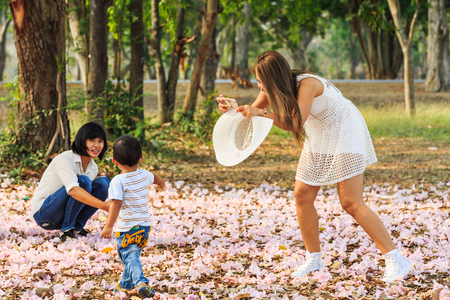 NAKHON PATHOM, THAILAND - 24 FEBRUARY 2016 - Unidentified woman uses her mobile phone to take picture of her kid and fallen Pink Trumpet flowers on the ground at Kamphaeng Saen, Nakhon Pathom province, Thailand.のeditorial素材