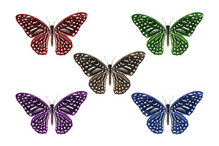 Multicolor Spotted Zebra (Graphium megarus) butterfly, dorsal view, isolated on white backgroundの写真素材