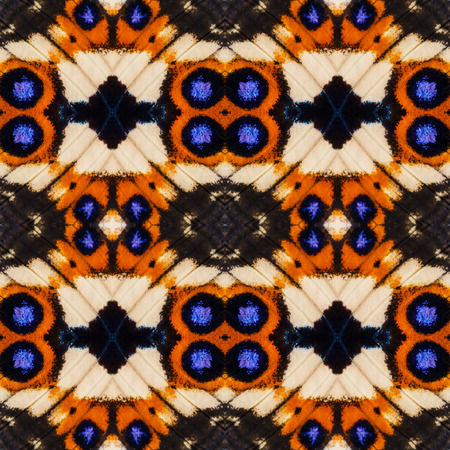 Seamless background created from part of Blue pansy (Junonia orithya) butterfly wings, texture showing minute scalesの写真素材