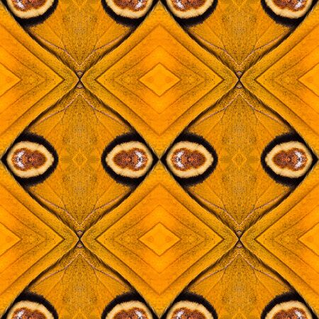Seamless background created from part of Peacock Pansy (Junonia almana) butterfly wings, texture showing minute scalesの写真素材