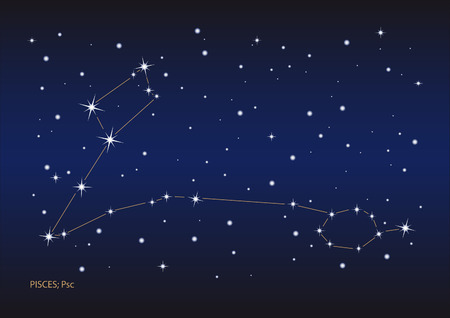 Illustration showing the pisces constellationのイラスト素材