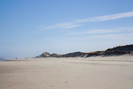 Selective focus image of dunes along the beach at the North Sea island Langeoog.の写真素材