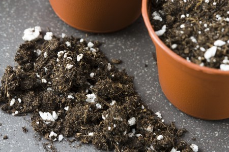 Still life with plant pots, potting soil and grains as symbol for gardening.の写真素材