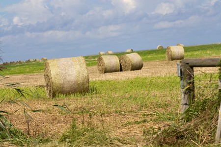 Landscape of a field with bales of straw and blue sky im Sommer.