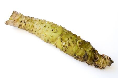 Isolated fresh wasabi root also called Japanese horseradish with white background.の写真素材