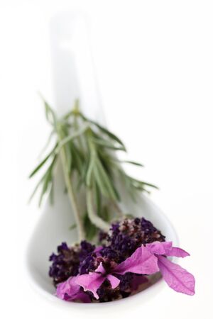 White spoon with white background and fresh lavender.の写真素材