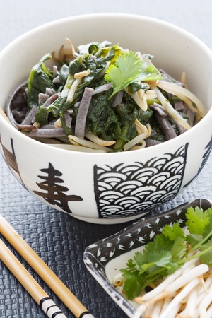 Asian rice noodle soup with black rice noodles, spinach, sprouts and coriander.の写真素材