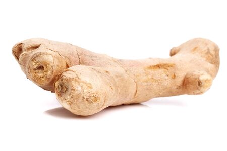 Ginger with white background.の写真素材