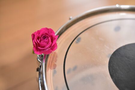 Red Roses and Snare Drumsの写真素材