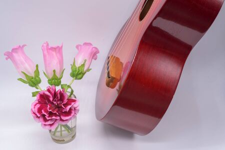 Carnation Ukuleleの写真素材
