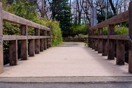 Bridge in the parkの写真素材