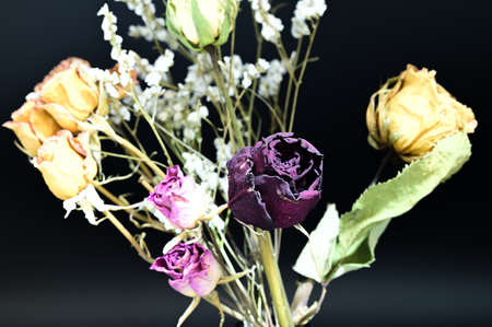 Dried roses