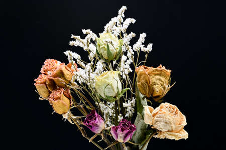 Dried roses