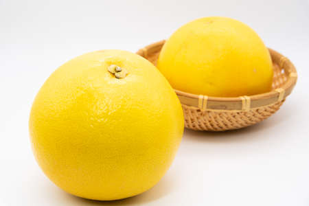 Grapefruit