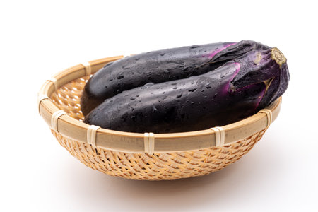 Eggplantの素材 [FY310174221543]