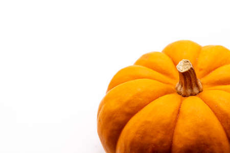 Pumpkinの写真素材