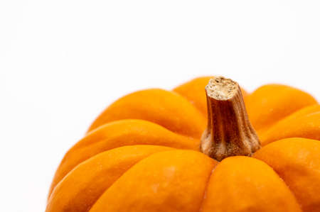 Pumpkinの写真素材