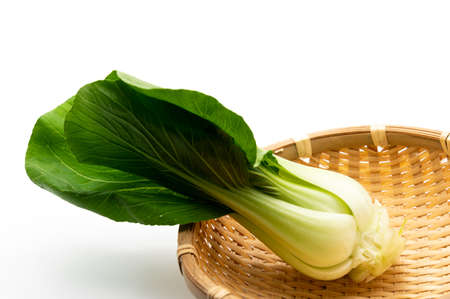 Chinese cabbageの写真素材